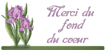 Image hébergée par servimg.com