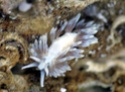 Image hébergée par servimg.com