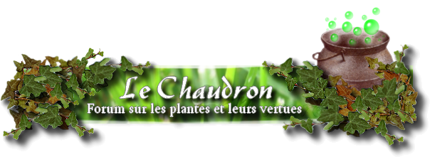 Le chaudron