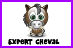 Expert Cheval Expert Cheval