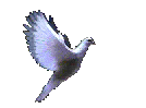 On