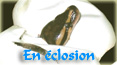 En éclosion En éclosion