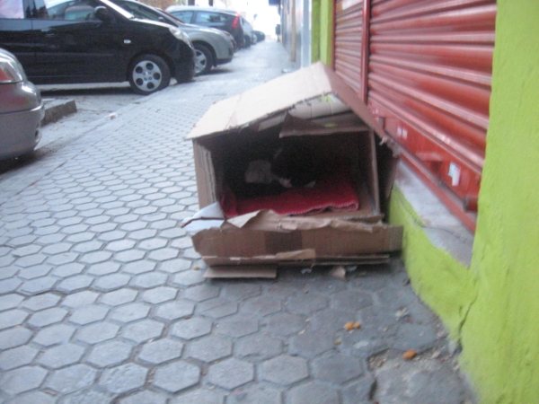 viejit13.jpg